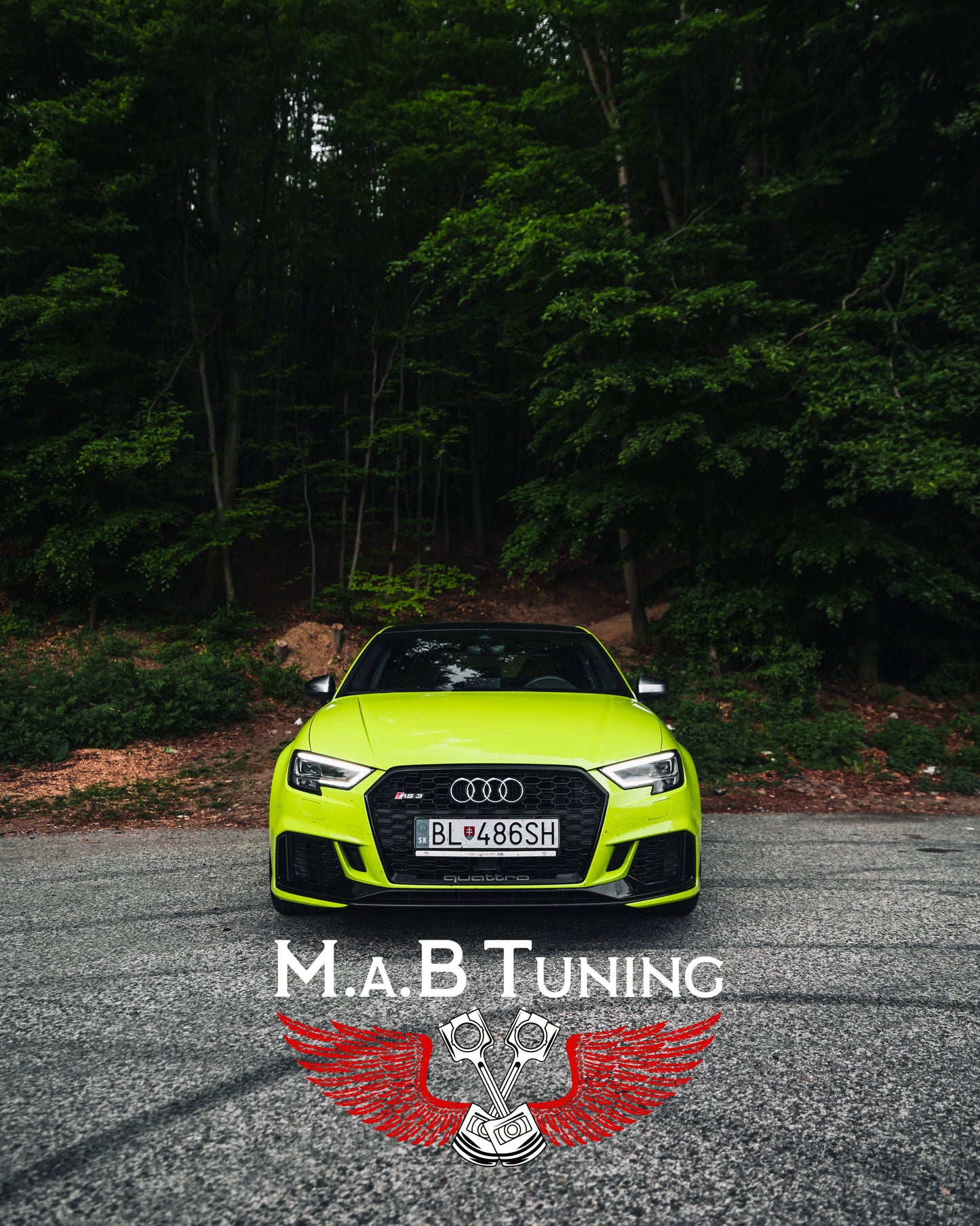 2015-2016 Audi RS3-Downpipe